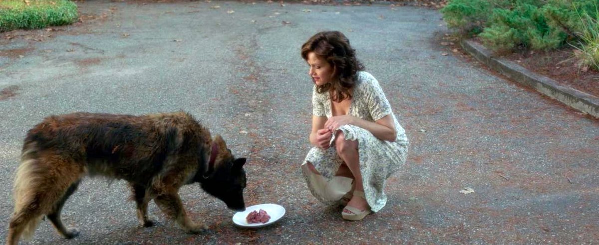 Photo du film Gerald's Game