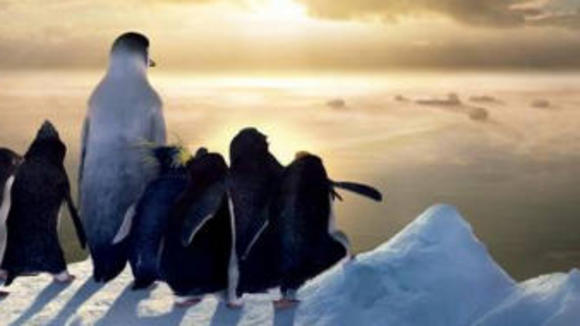 Photo from the movie Happy Feet