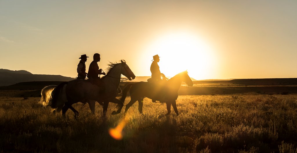 Photo du film Les Sept mercenaires