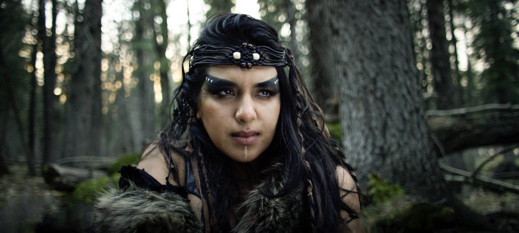 Photo du film The Northlander