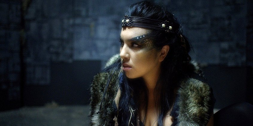 Photo du film The Northlander