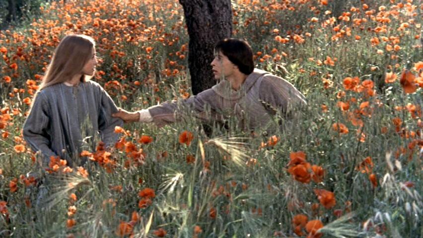 Photo from the movie Fratello sole, sorella luna