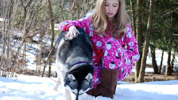 Photo du film A Dog for Christmas