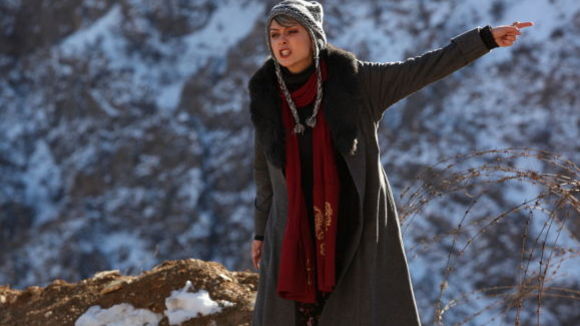 Photo from the movie Modest Reception