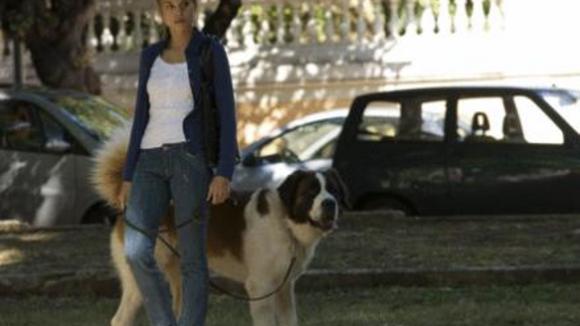 Photo du film Caos calmo