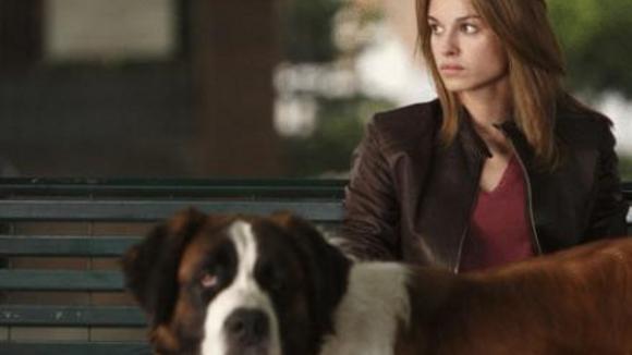 Photo du film Caos calmo