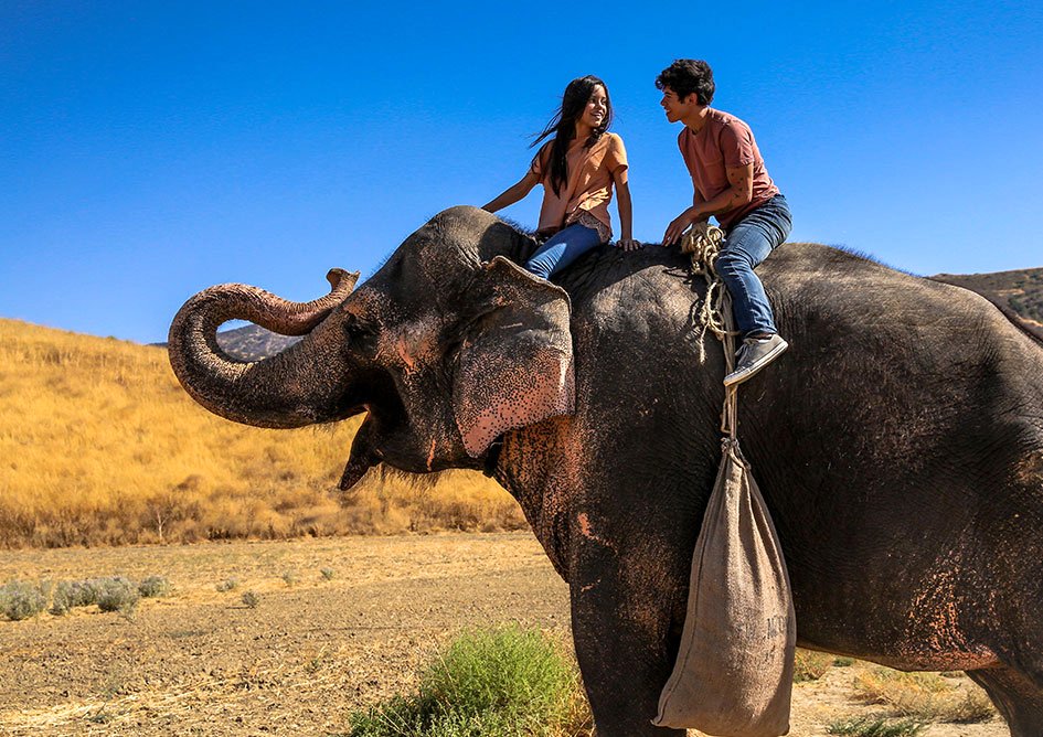 Photo from the movie Saving Flora