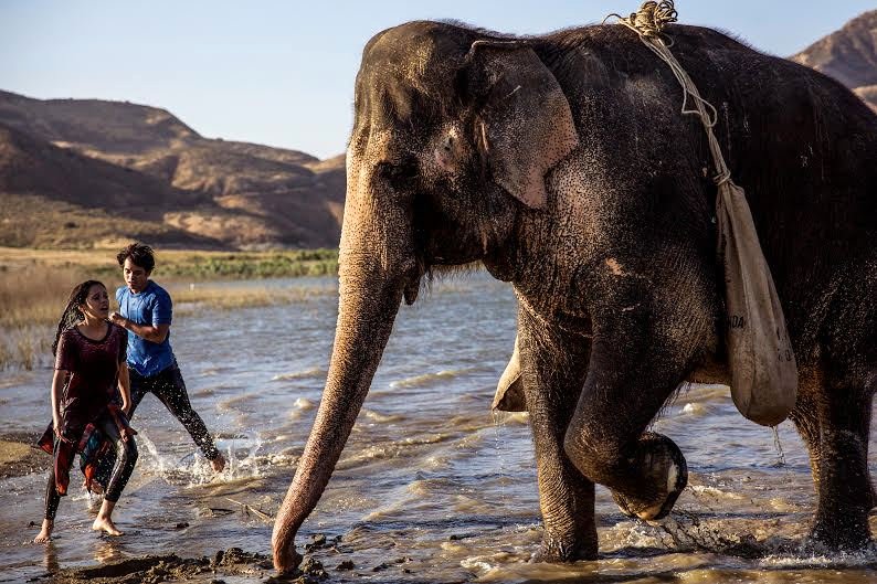 Photo from the movie Saving Flora