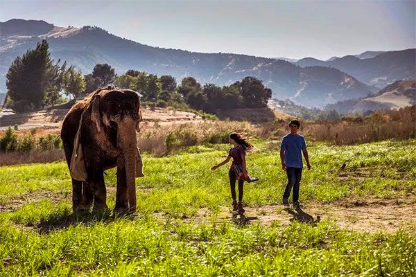 Photo from the movie Saving Flora