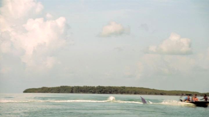 Photo from the movie 2-Headed Shark Attack