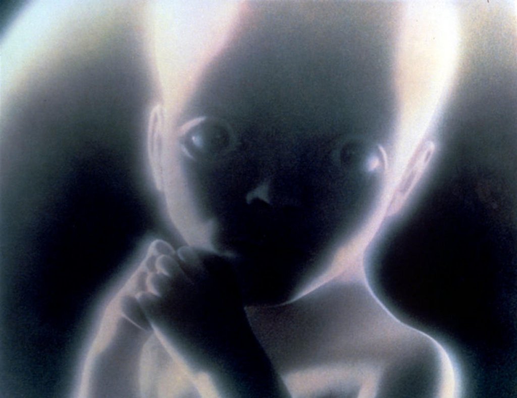 Photo from the movie 2001: A Space Odyssey