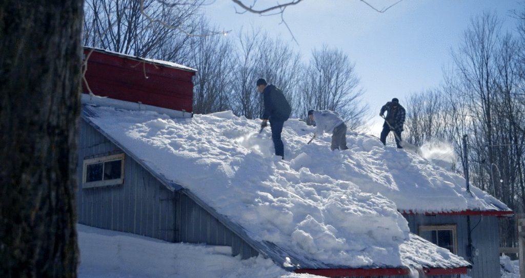 Photo from the movie Le Goût d'un pays
