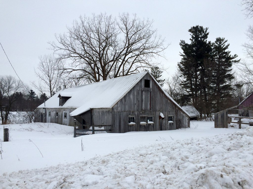 Photo from the movie Le Goût d'un pays