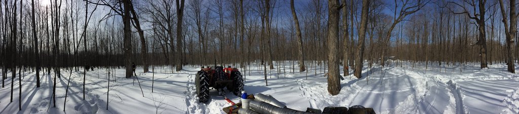 Photo from the movie Le Goût d'un pays