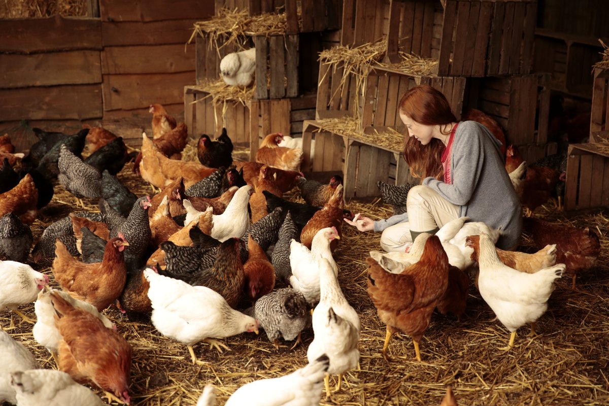 Photo du film Au fil des saisons