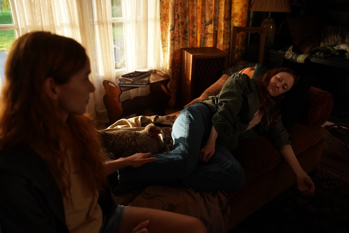 Photo du film Au fil des saisons