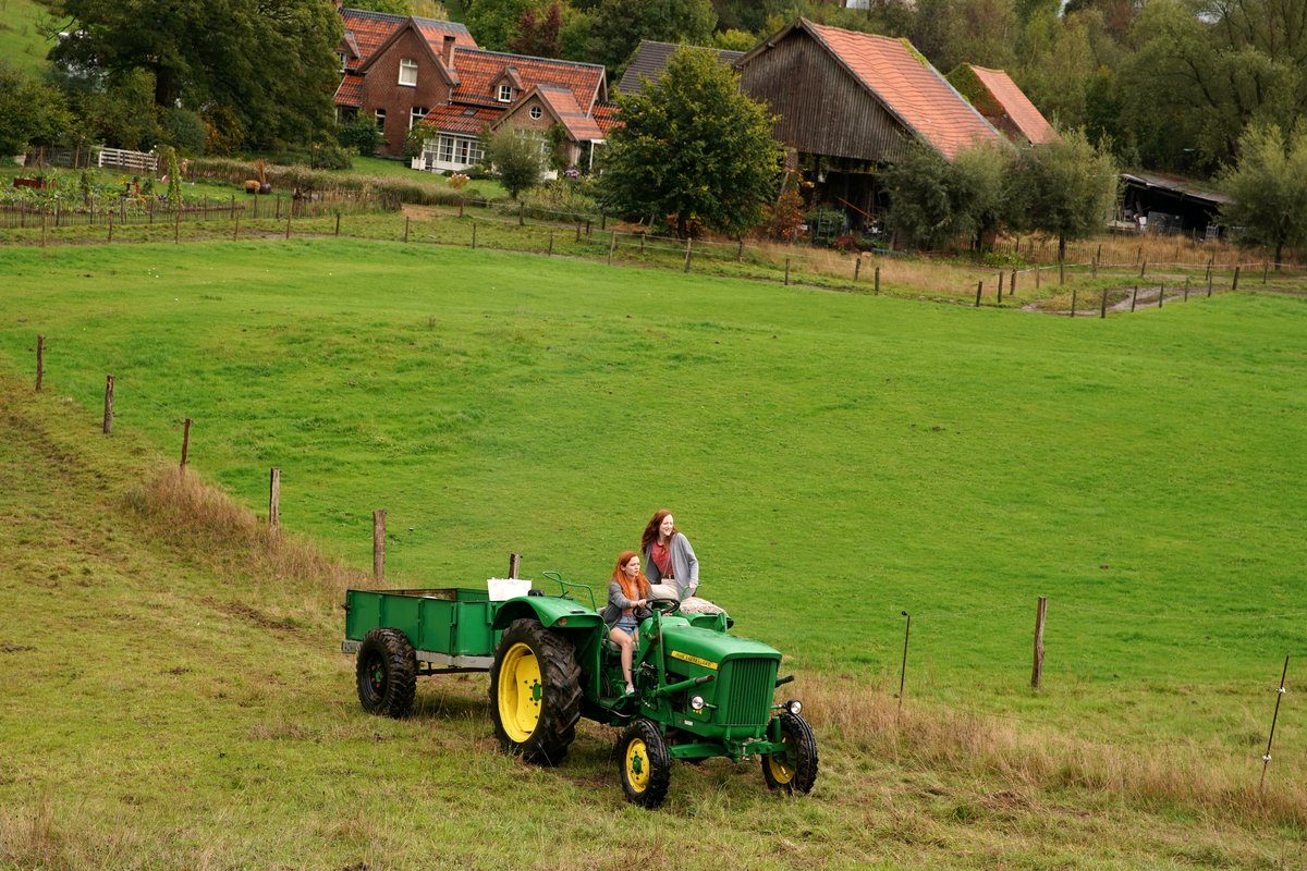 Photo du film Au fil des saisons