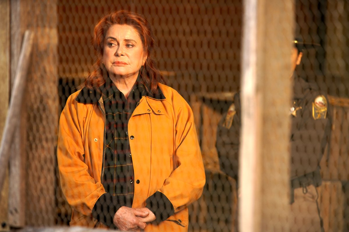 Photo du film Au fil des saisons