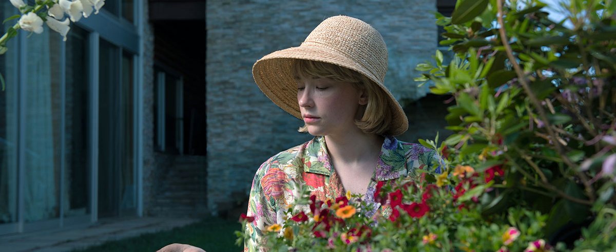 Photo du film Swallow