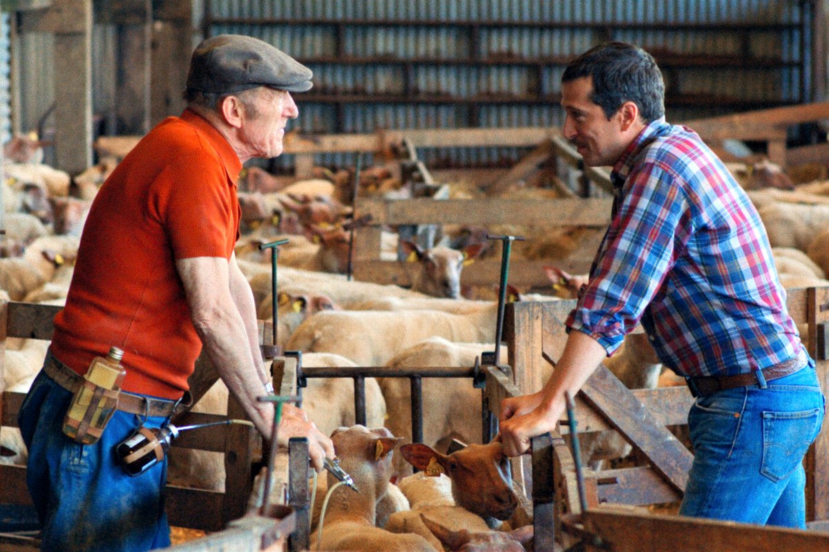 Photo from the movie In the Name of the Land