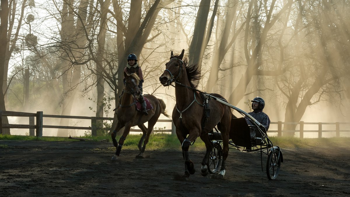 Photo du film Tempête