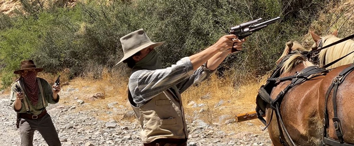 Photo du film The Woman Who Robbed the Stagecoach