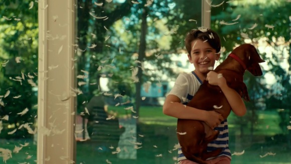 Photo du film Wiener-Dog