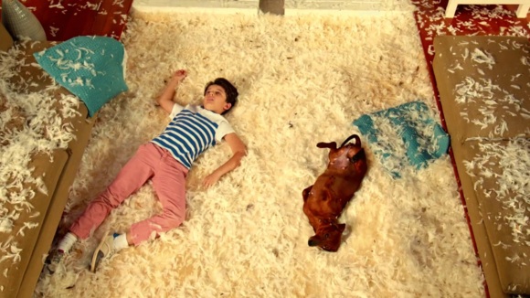 Photo du film Wiener-Dog