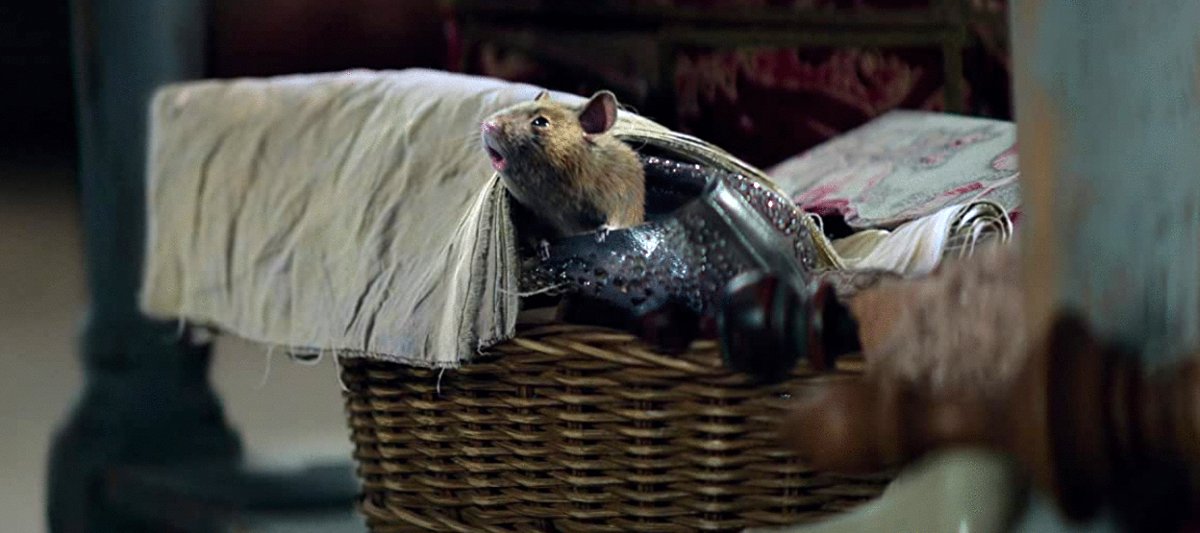 Photo du film Cinderella