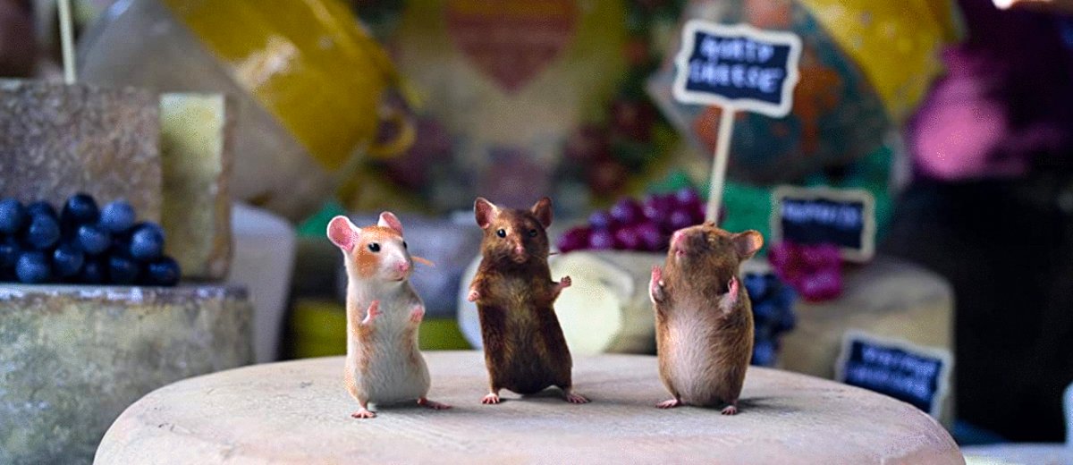 Photo du film Cinderella