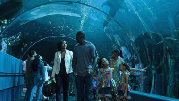 Photo from the movie Daddy's Little Girls