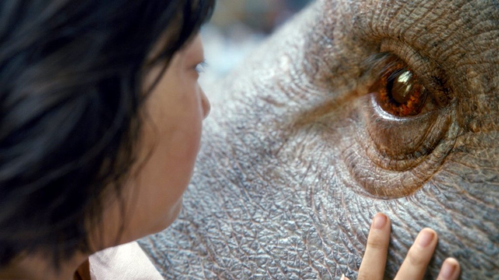 Photo du film Okja