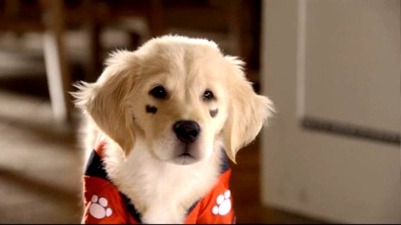 Photo du film Santa Buddies