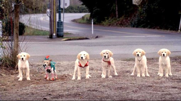 Photo du film Santa Buddies