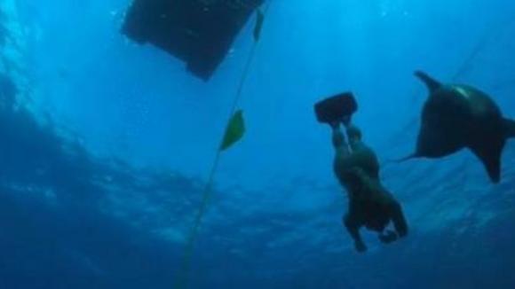 Photo du film Beneath the Blue
