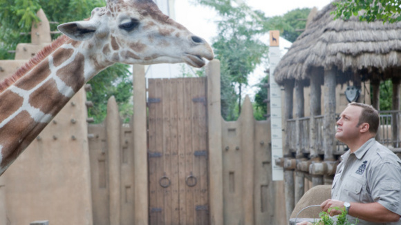 Photo du film Le Gardien du zoo