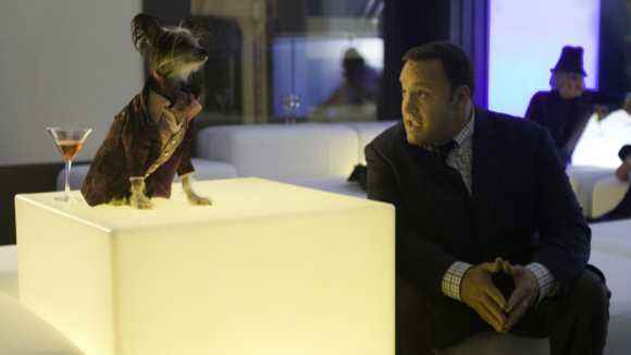 Photo du film Le Gardien du zoo