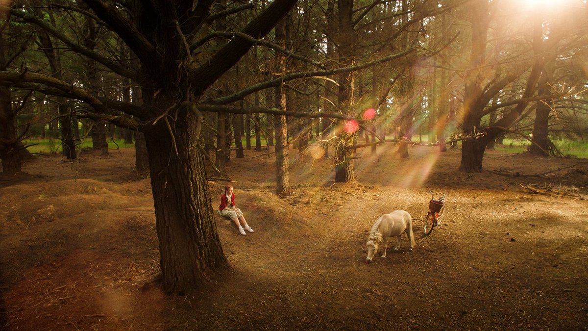 Photo du film H Is for Happiness