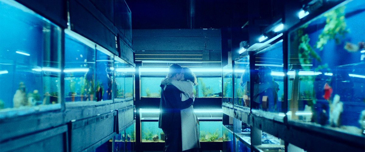 Photo du film Little Fish