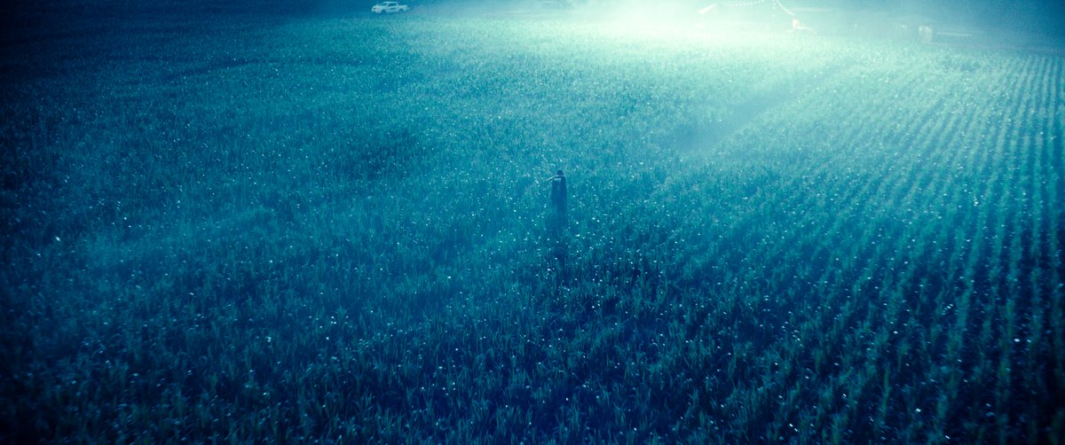 Photo from the movie The Animal Kingdom