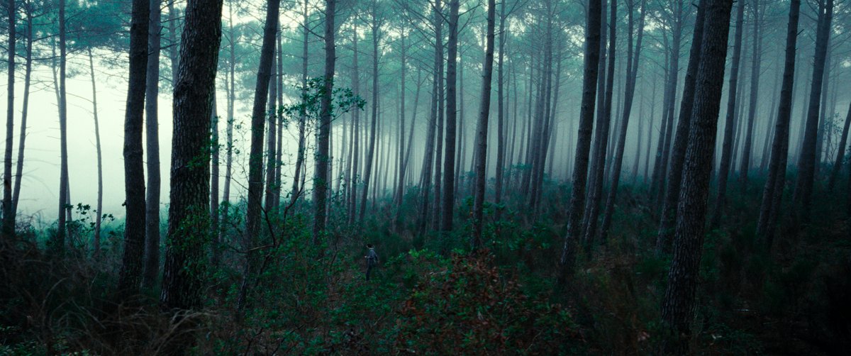 Photo from the movie The Animal Kingdom