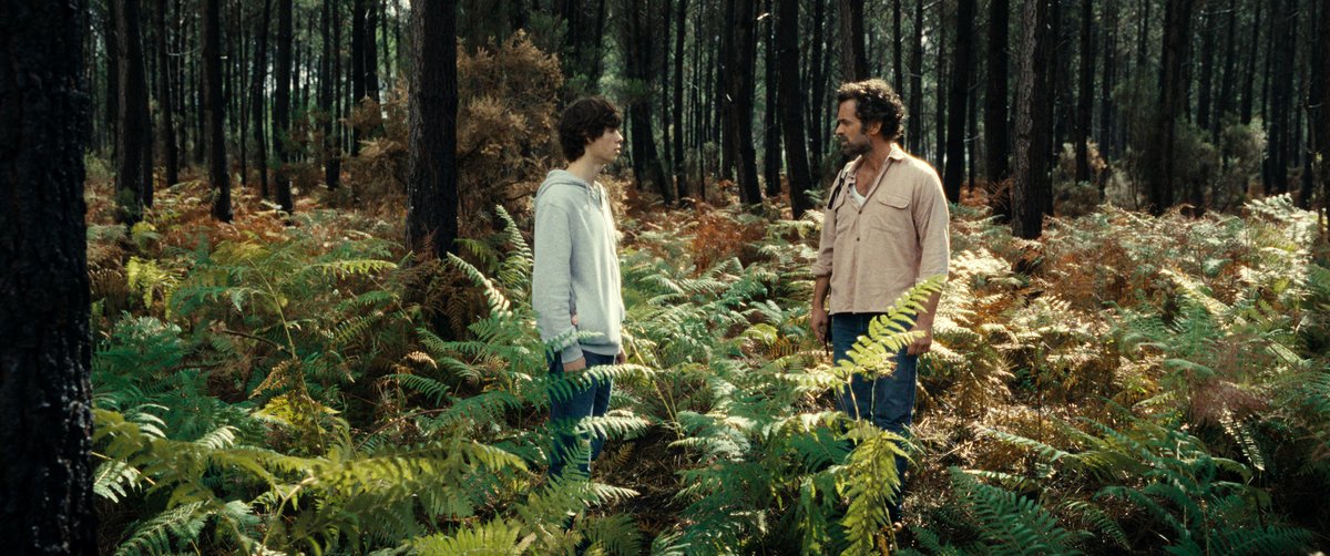 Photo from the movie The Animal Kingdom