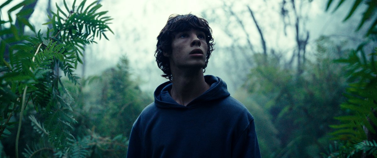 Photo from the movie The Animal Kingdom