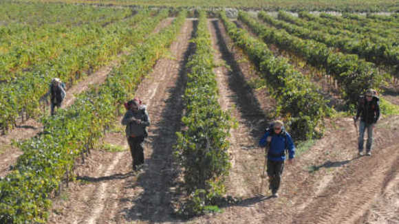 Photo du film The Way