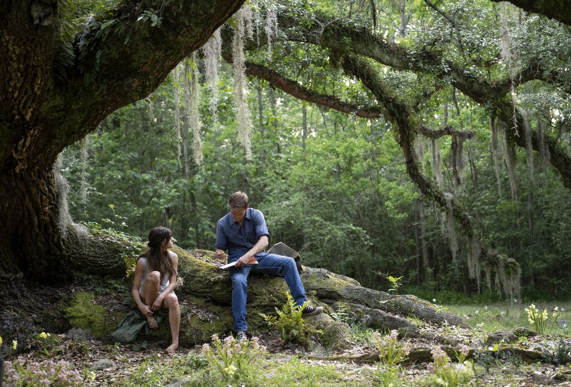 Photo from the movie Where the Crawdads Sing