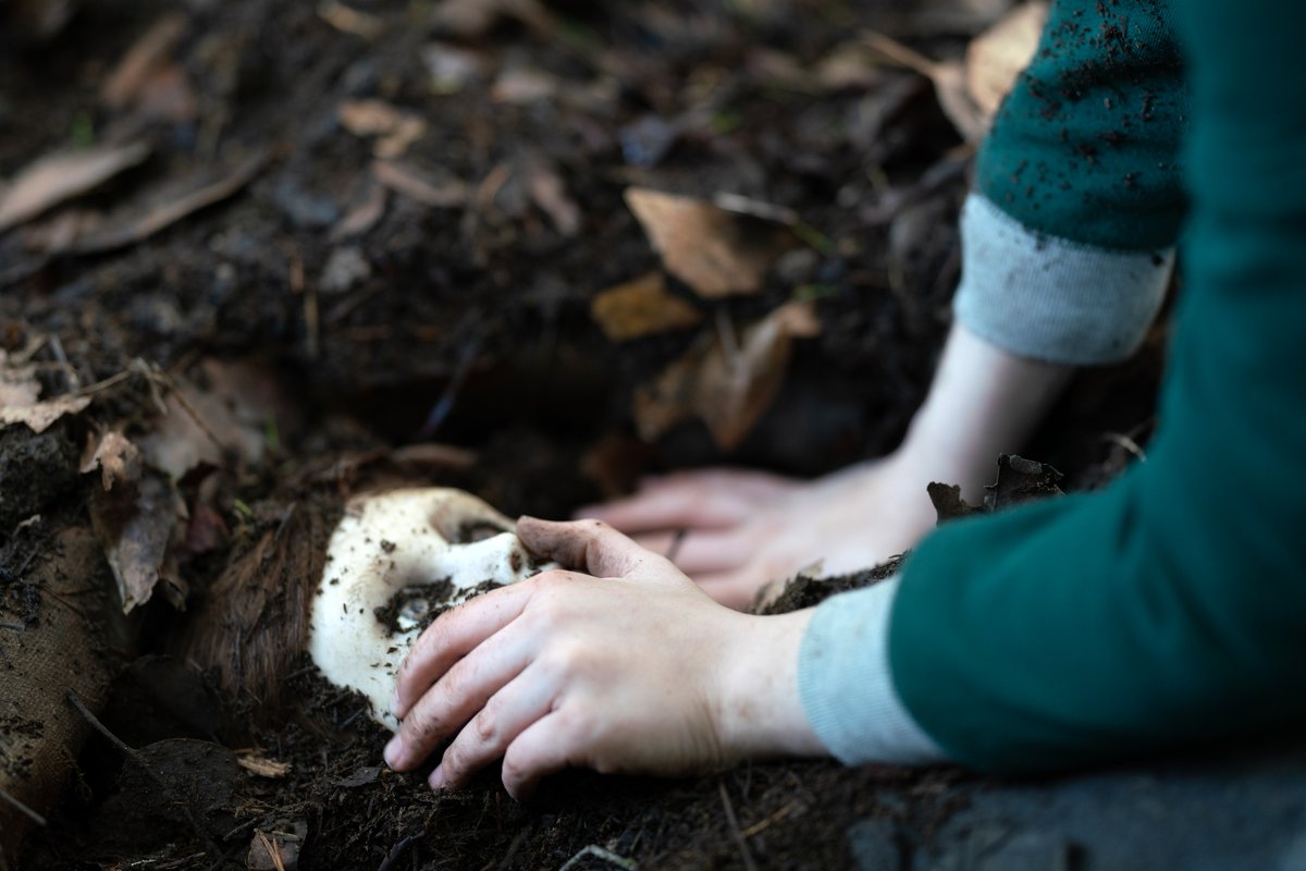 Photo du film Brahms: Le garçon II