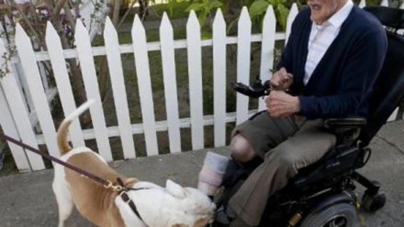 Photo from the movie Jackass 3D