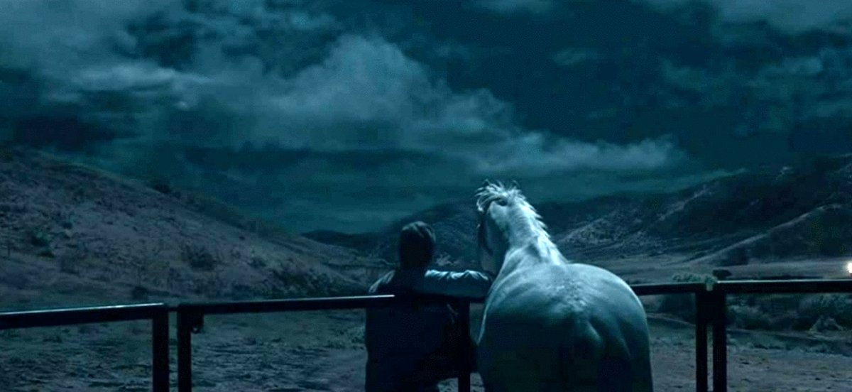 Photo du film Ben non