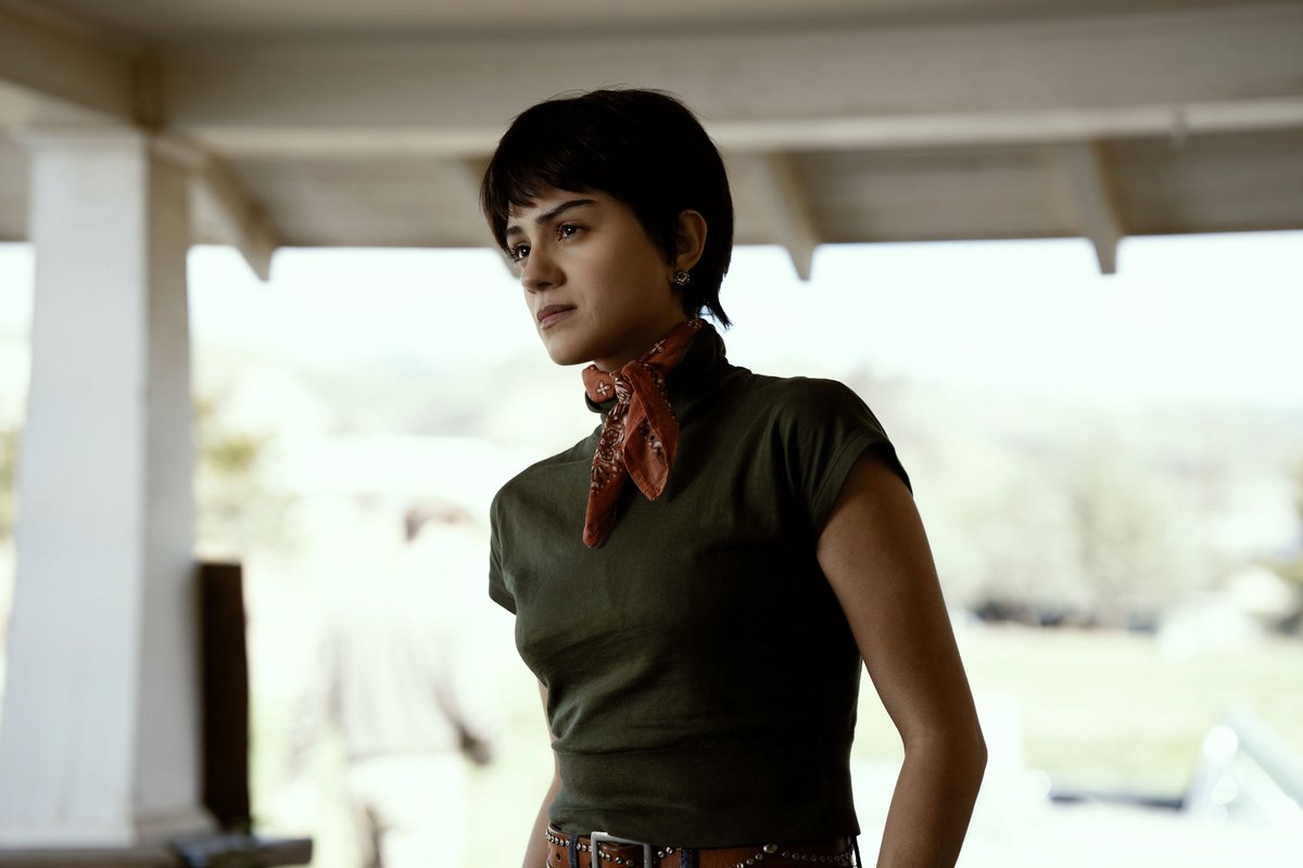 Photo du film Les indomptés