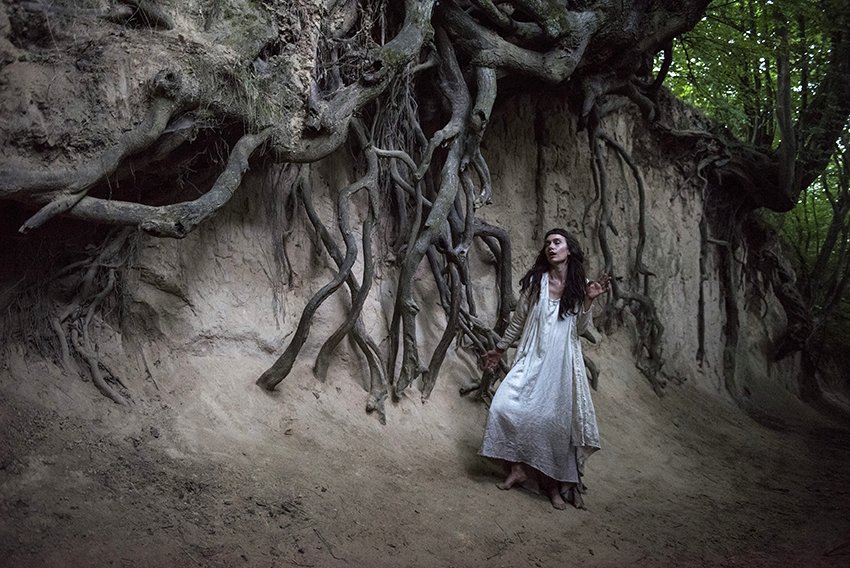 Photo du film The Field Guide to Evil